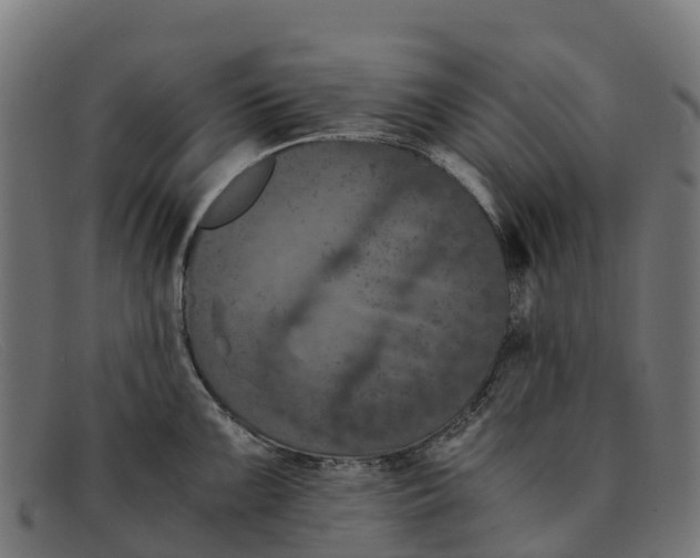 X0000091651099200709131445