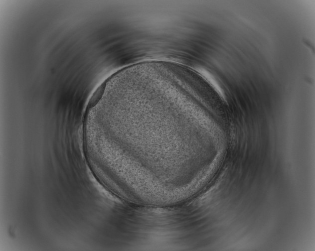 X0000091651100200709131445