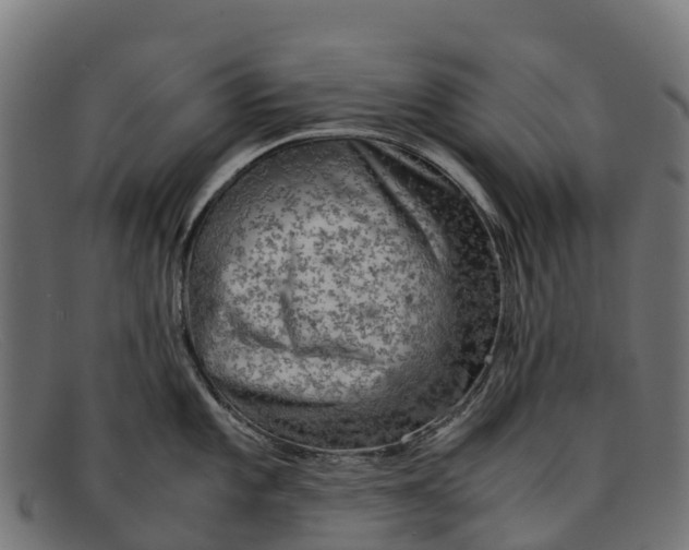 X0000091651101200709131445