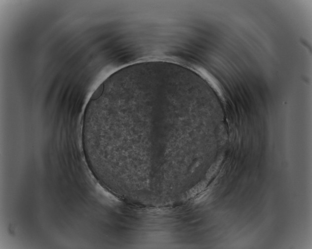 X0000091651102200709131445