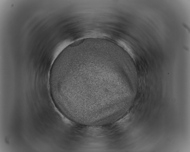 X0000091651103200709131445