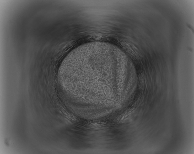 X0000091651105200709131445