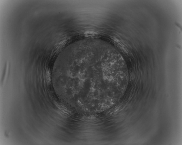 X0000091651106200709131445