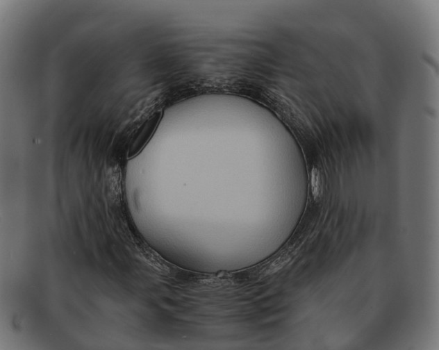 X0000091651107200709131445