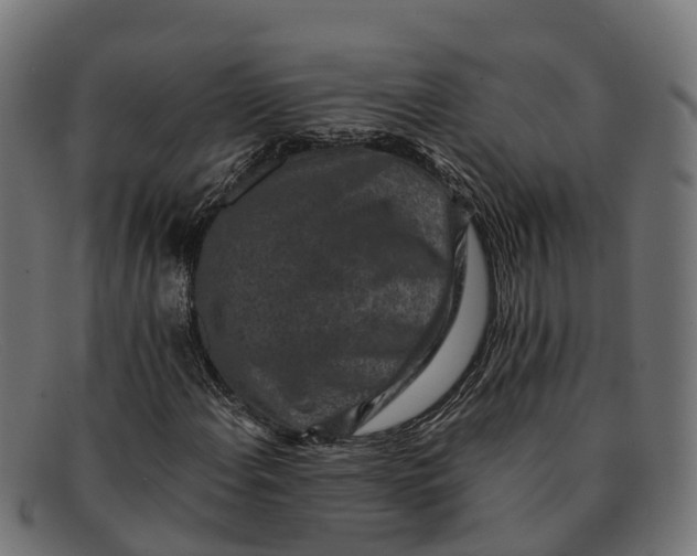 X0000091651108200709131445