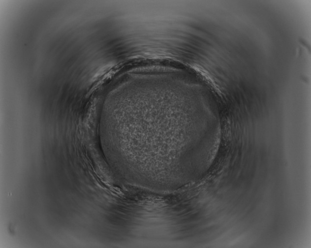 X0000091651110200709131445