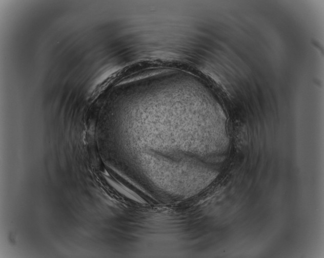 X0000091651112200709131445