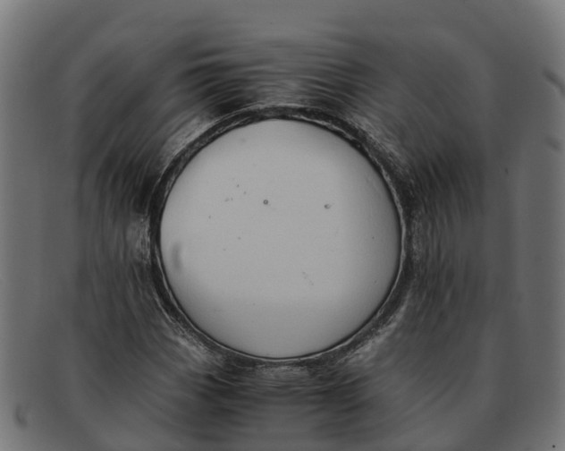 X0000091651113200709131445