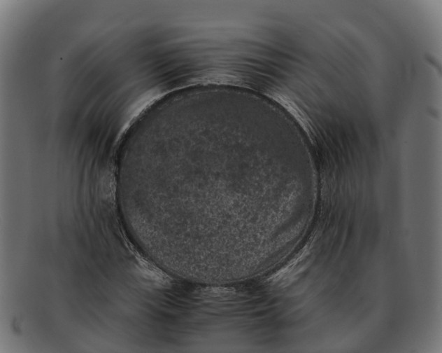 X0000091651115200709131445