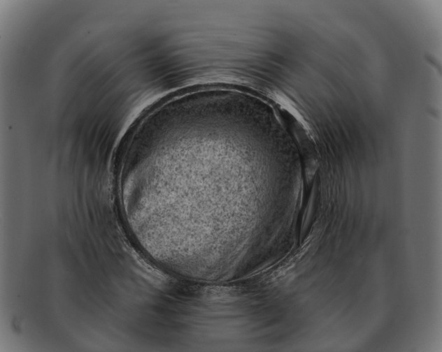 X0000091651116200709131445