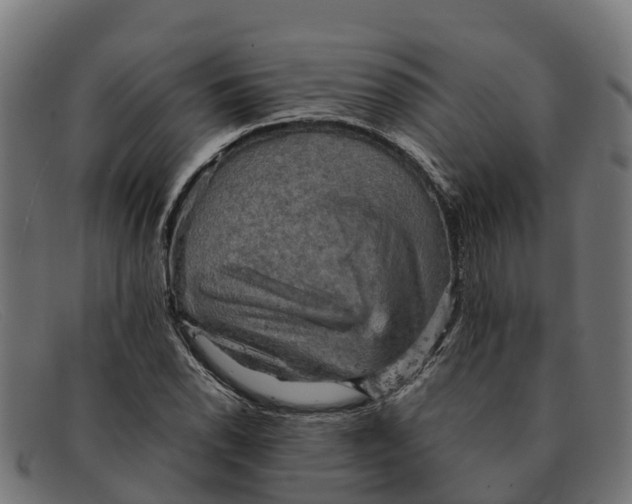 X0000091651118200709131445