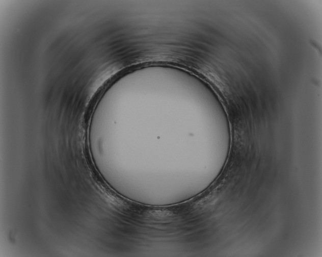 X0000091651119200709131445