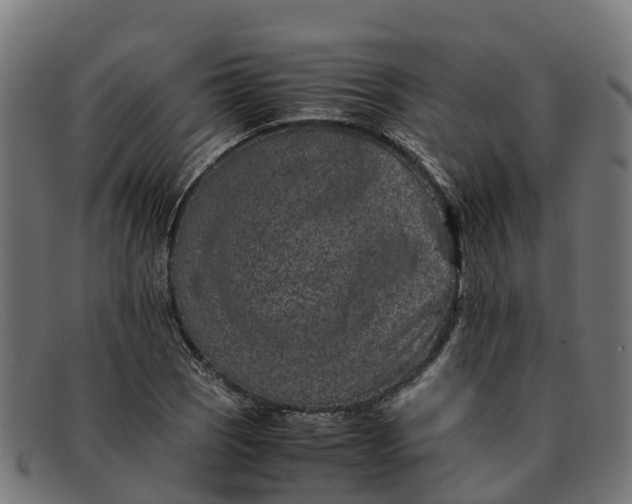 X0000091651121200709131445