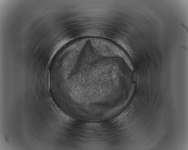 X0000091651123200709131445