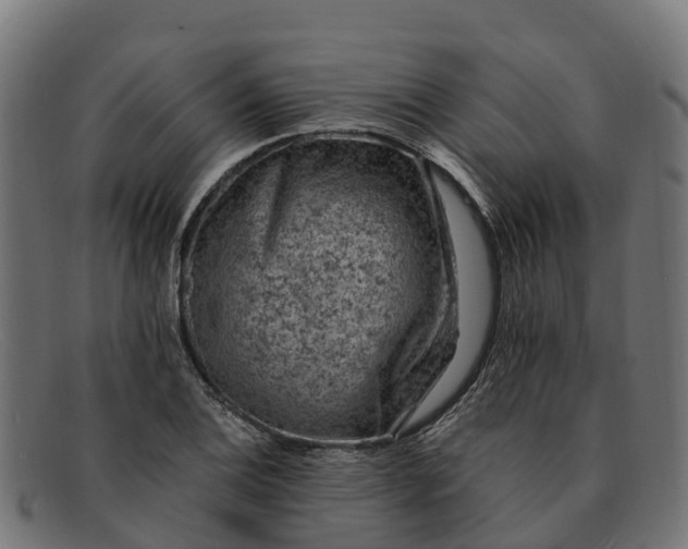 X0000091651124200709131445