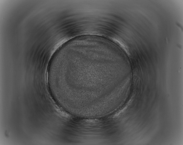 X0000091651125200709131445