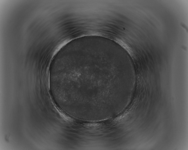 X0000091651127200709131445