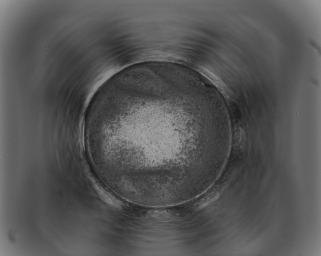 X0000091651128200709131445