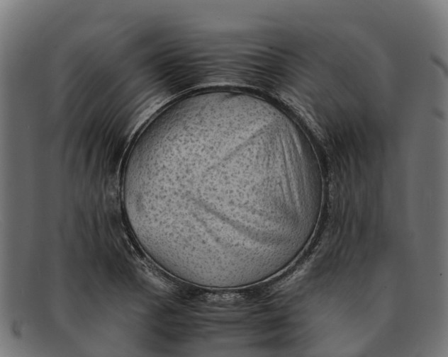 X0000091651129200709131445