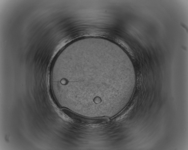 X0000091651130200709131445