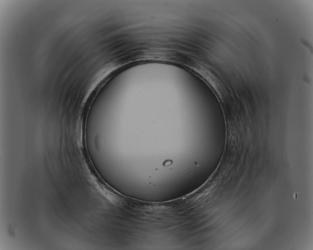 X0000091651131200709131445