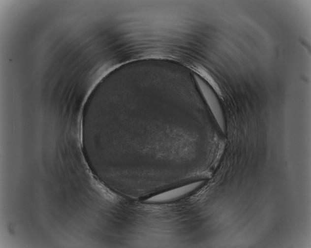 X0000091651132200709131445