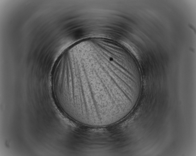 X0000091651133200709131445