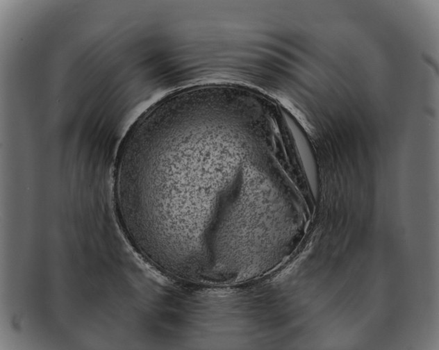 X0000091651134200709131445