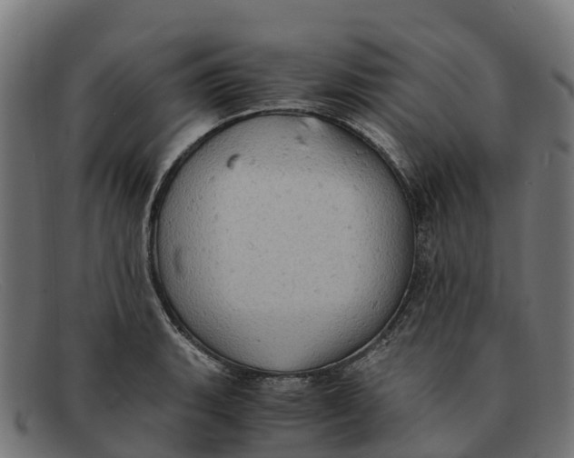 X0000091651135200709131445