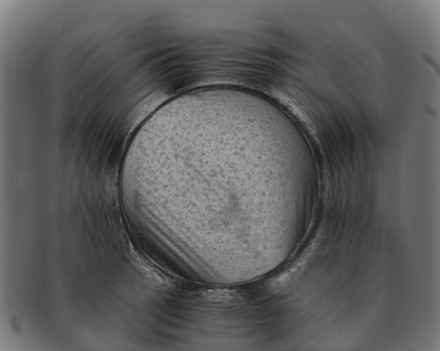 X0000091651137200709131445