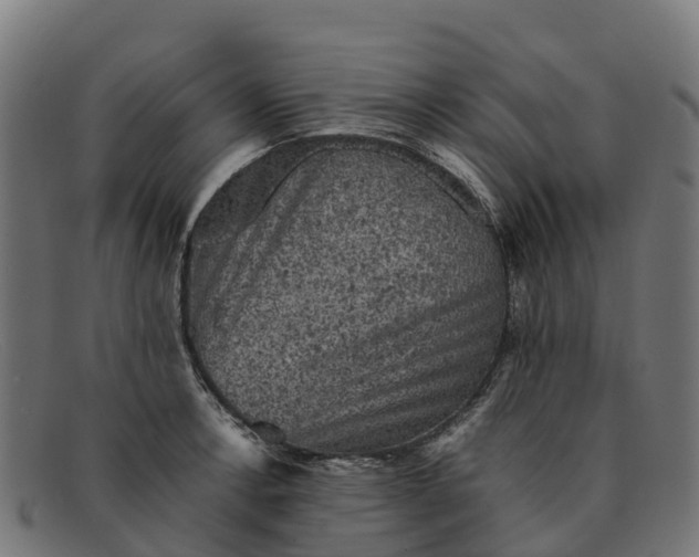 X0000091651138200709131445