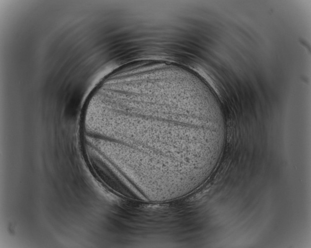 X0000091651139200709131445