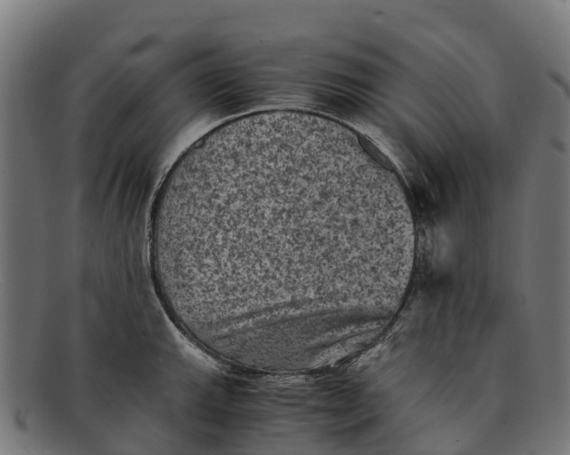 X0000091651143200709131445