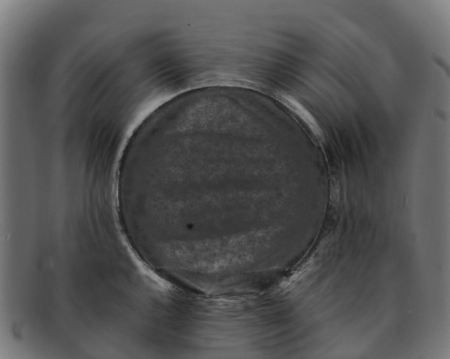 X0000091651144200709131445