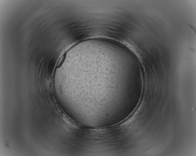 X0000091651145200709131445