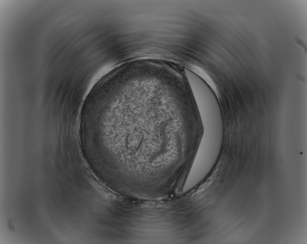 X0000091651146200709131445