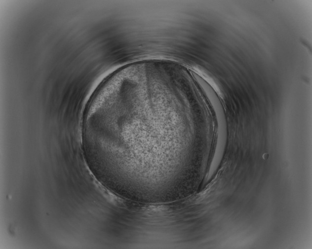 X0000091651148200709131445