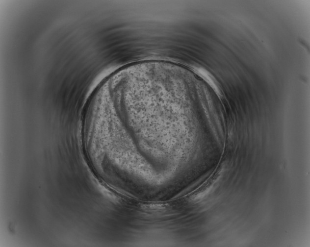 X0000091651149200709131445