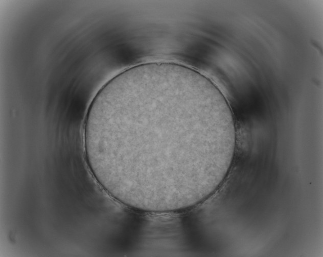 X0000091651150200709131445