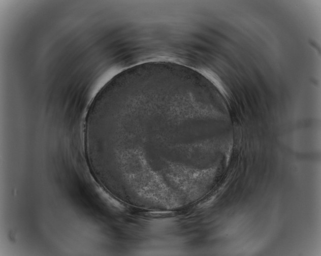 X0000091651151200709131445