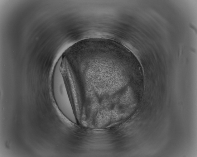 X0000091651152200709131445