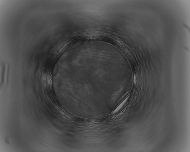 X0000091651155200709131444