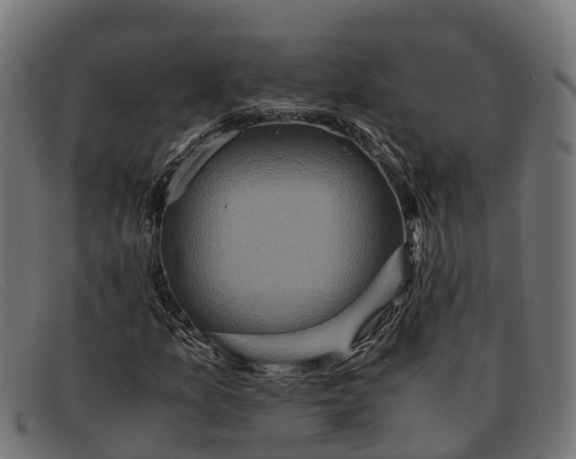 X0000091651157200709131444