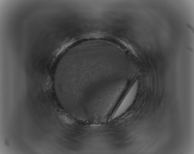 X0000091651160200709131444