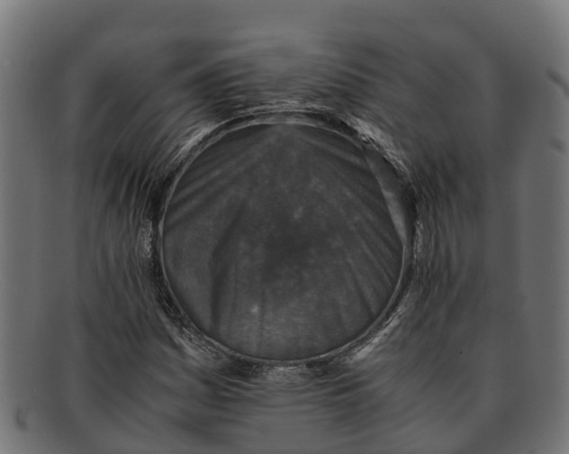 X0000091651161200709131444