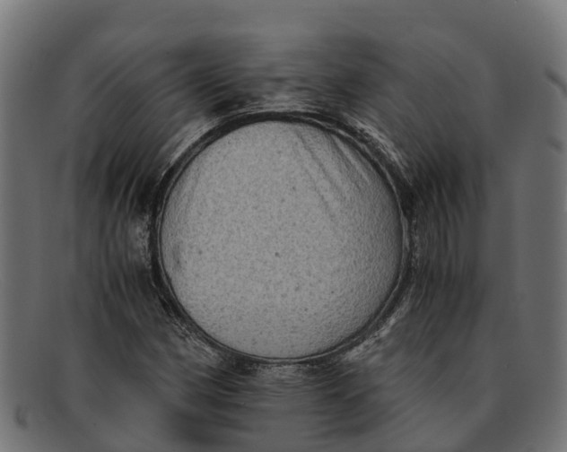 X0000091651162200709131444