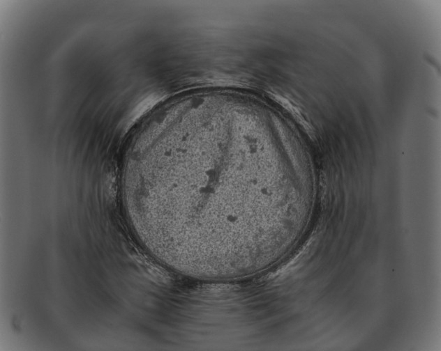 X0000091651163200709131444