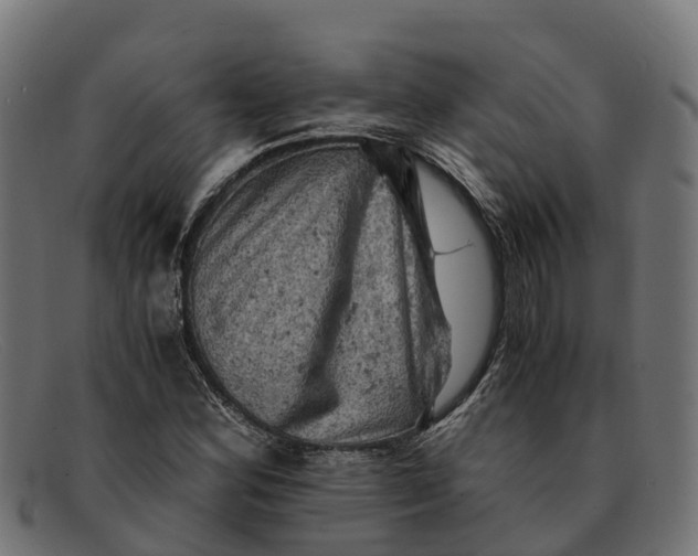 X0000091651164200709131444