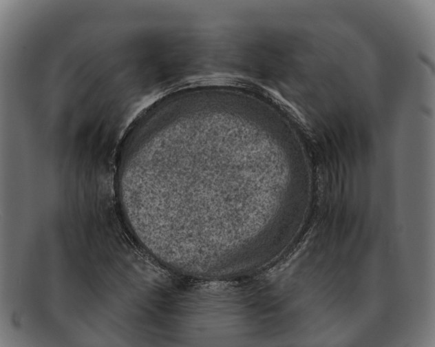 X0000091651166200709131444