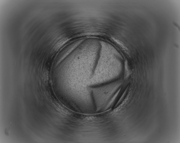 X0000091651169200709131444